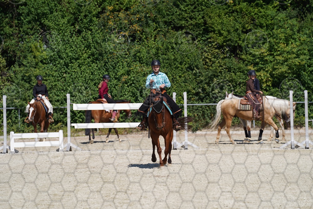 A7_08421.JPG